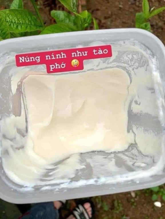 MÁY LÀM SỮA CHUA THÔNG MINH NHẬT BẢN 3 NẤC