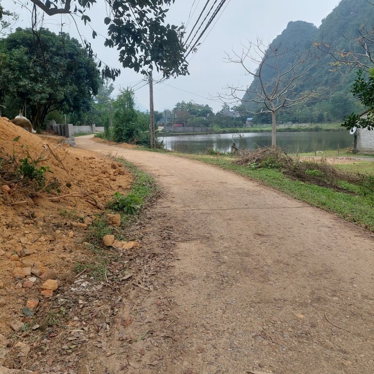 1048m2 có 300m2 thổ cư, Phú Nghĩa, Lạc Thủy, Hòa Bình