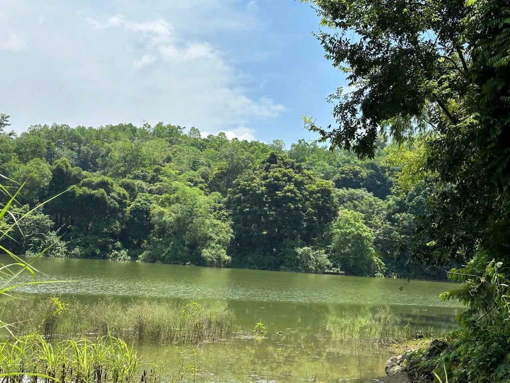 2000m2 có 1000m2 thổ cư tại Yên Thuỷ, Hoà Bình