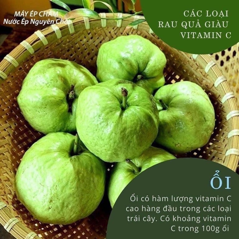 MÁY ÉP CHẬM JIPLAI JL-06 CAO CẤP