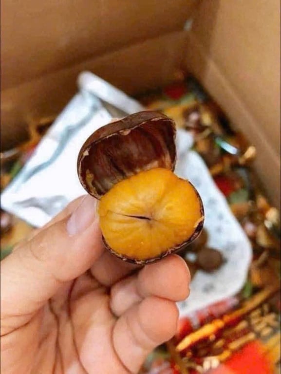 Hạt dẻ Nhật 260gr