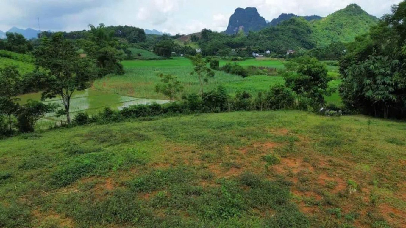 Diện tích thực tế  1347m2, Diện tích trong sổ 1433,6m2,trong đó có 250m2 ONT tại Kim Bôi, Hoà Bình