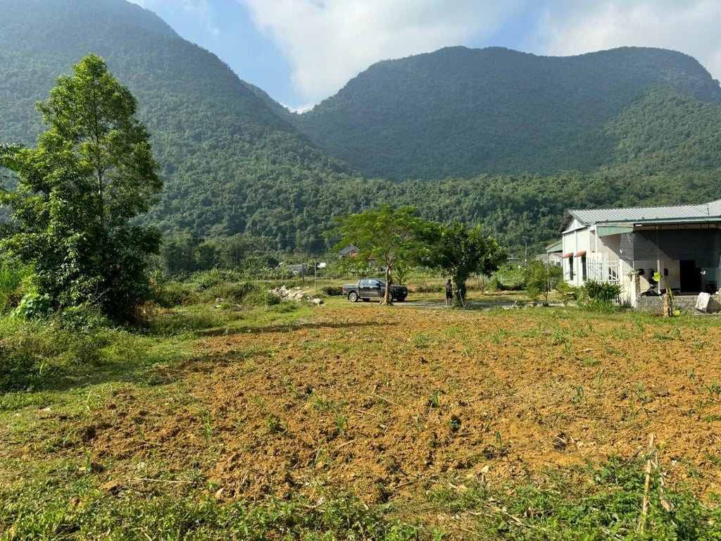 Lô đất 1527m2 có 200m2 đất ở, tại xóm Khời,Phú Cường, Tân Lạc, Hoà Bình