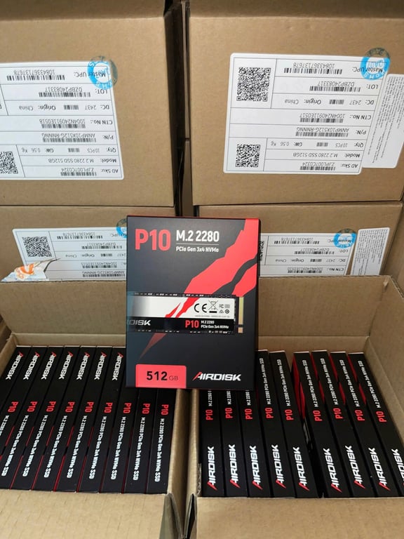 Ổ Cứng Máy Tính SSD Airdisk P10 M.2 2280 PCIe Gen 3x4 NVMe 512GB - (ANMP10X512GRNNNG)