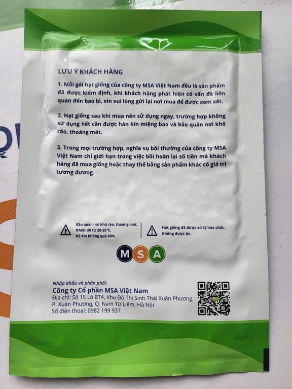 Hạt giống cải xanh mỡ gói 50gr