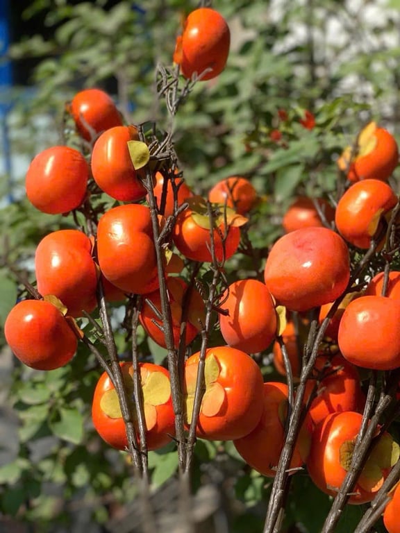 Set 6 cành quả hồng giả