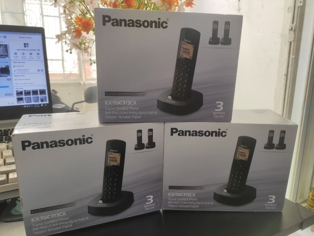 Điện Thoại Đàm Thoại Panasonic KX-TGC313CX