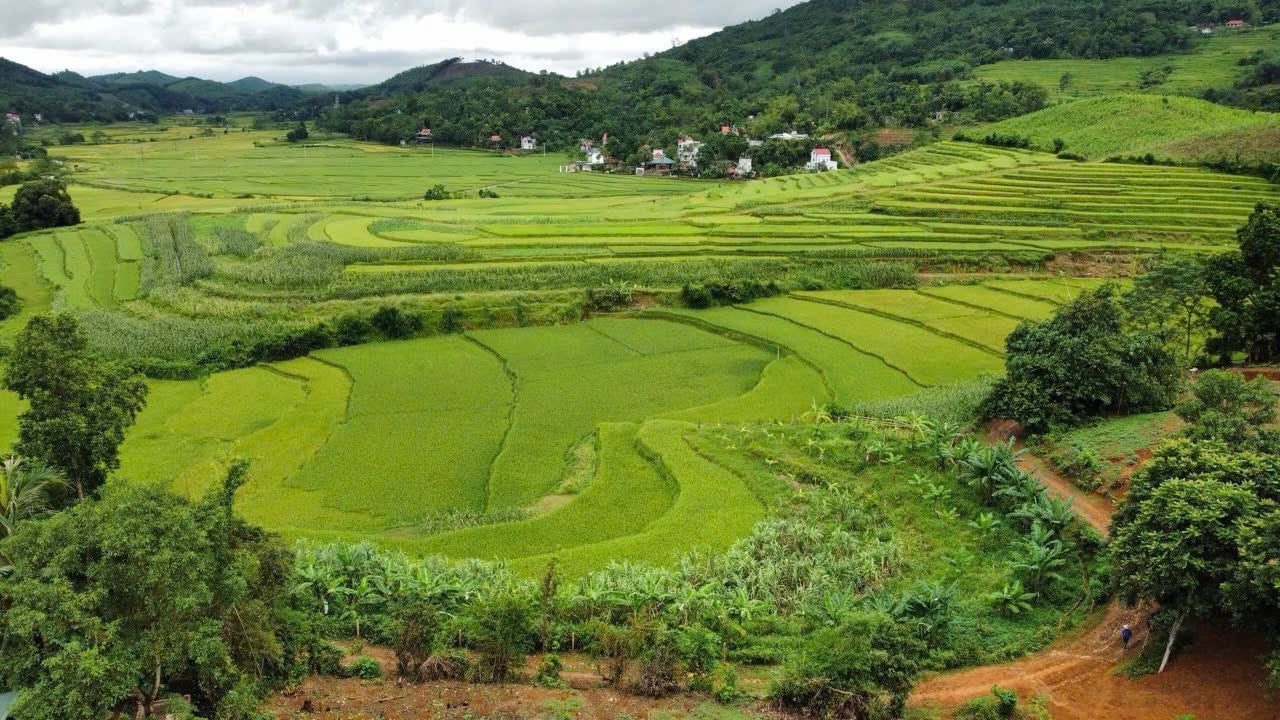 2928m2 có 400m2 ONT  xã Mỹ thành huyện Lạc Sơn, Hoà Bình.