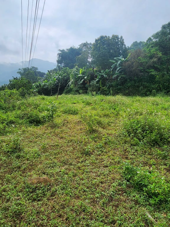 Đất đẹp bên suối tại Thạch Yên, Cao Phong, Hòa Bình (1500m2).