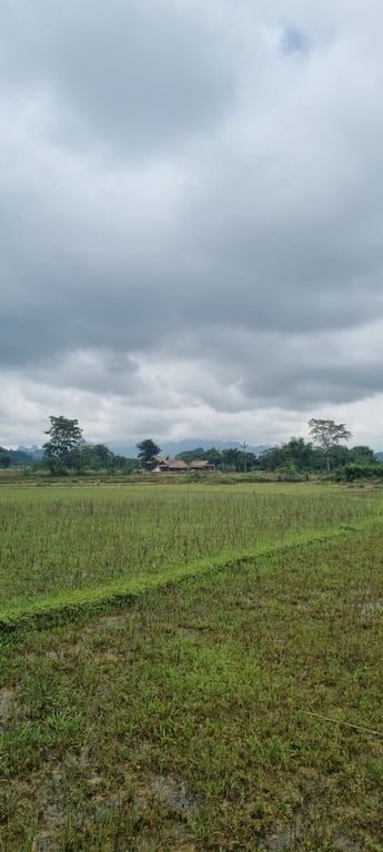 Phú Vinh, Tân Lạc, Hòa Bình. 1019m2