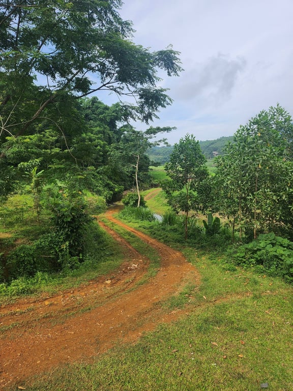 Đất đẹp bên suối tại Thạch Yên, Cao Phong, Hòa Bình (1500m2).