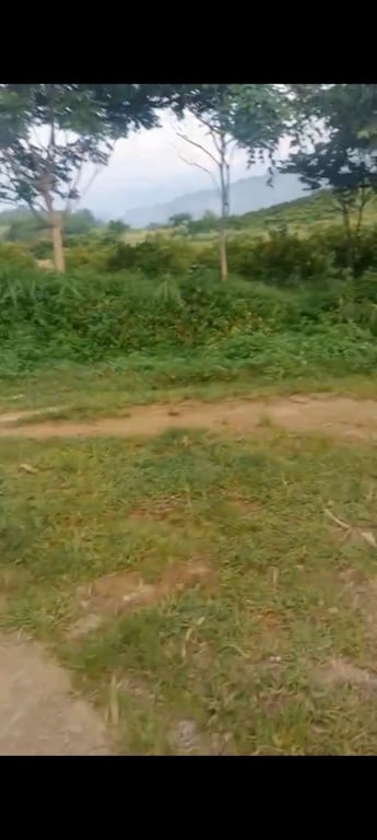 2500m2 tại Lỗ Sơn,Tân Lạc, Hoà Bình