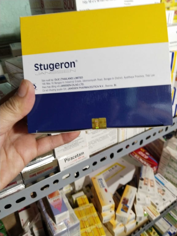Stugeron 25mg h/250v nén