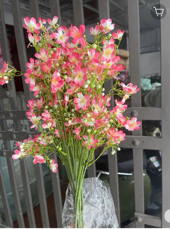 10 Cành Nhất Chi Mai