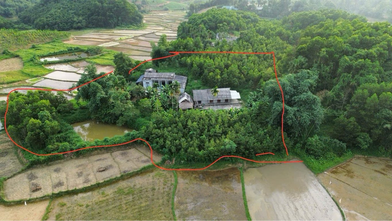 Cả nhà và đất và Ao cá diện tích 2.730m2. Thổ cư 300m2. Vườn 2.430m2 tại Yên Lập, Phú Thọ