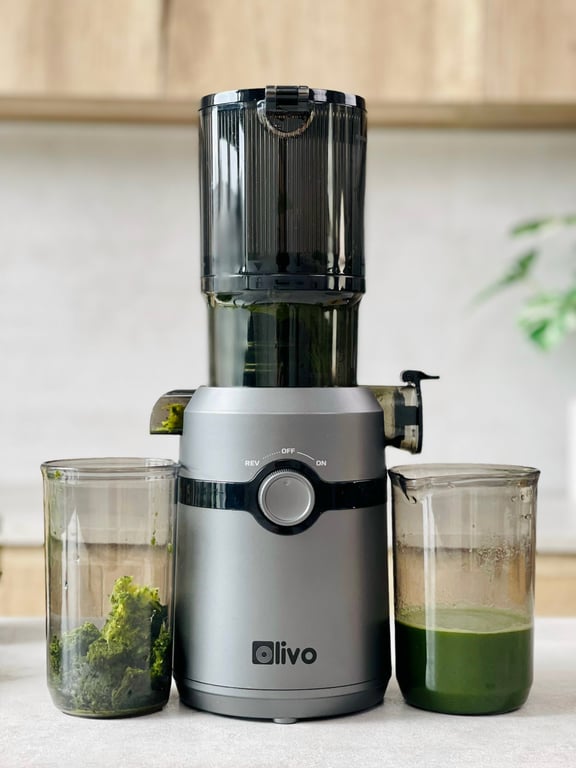 Máy ép chậm Olivo SJ240 -