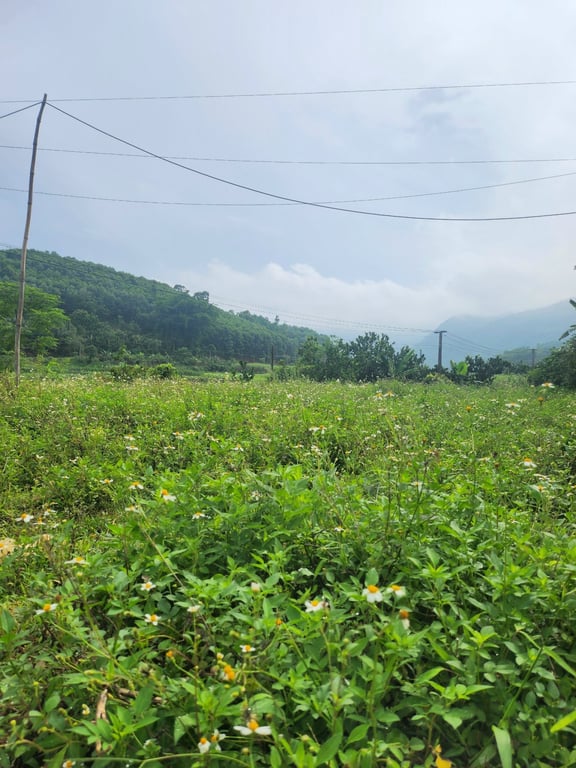 Đất đẹp bên suối tại Thạch Yên, Cao Phong, Hòa Bình (1500m2).