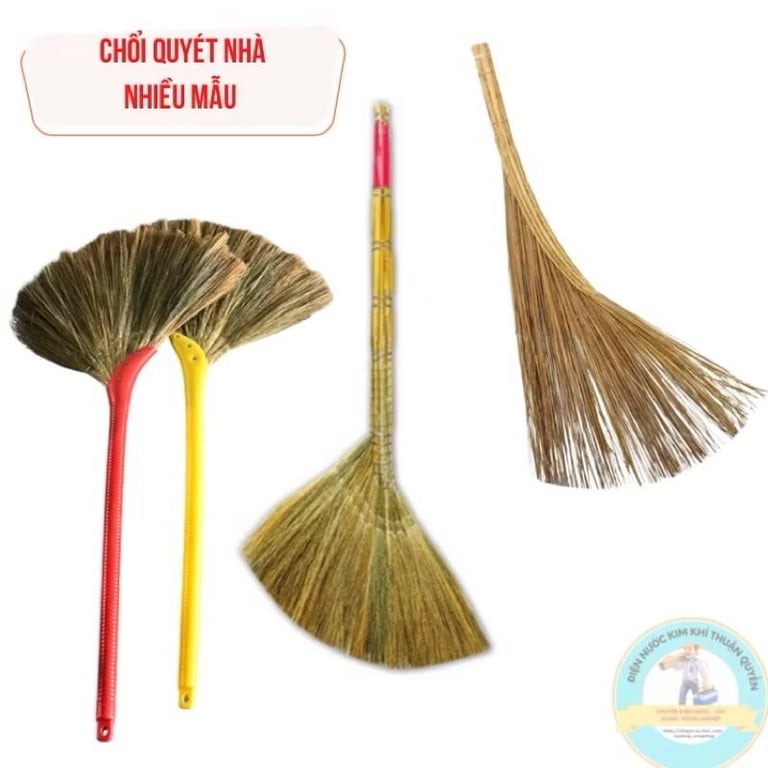 Cây chổi bông sậy