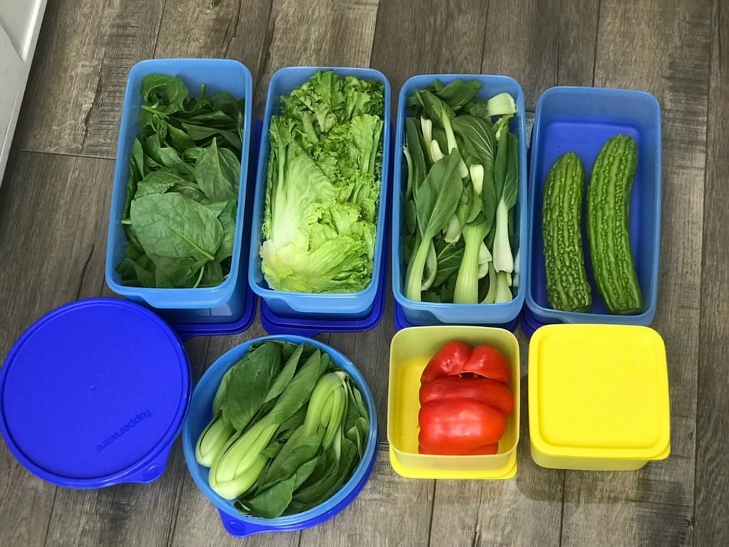 Bộ 8 hộp trữ mát tupper ware