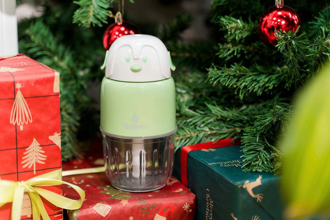 MÁY XAY THỊT MINI ĐA NĂNG KALPEN OL2