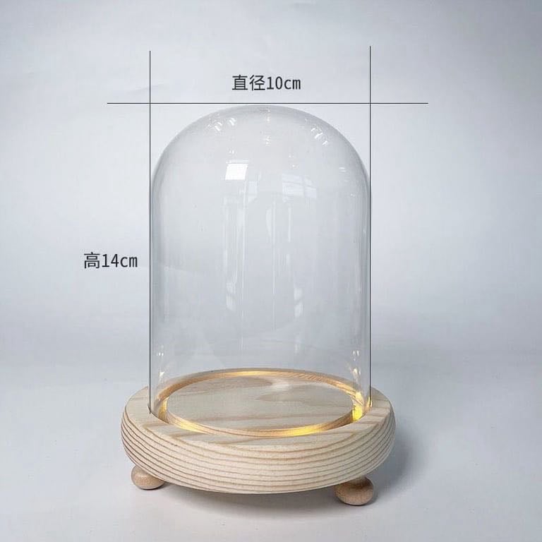 Vòm kính chống bụi có đèn led size 12*21cm