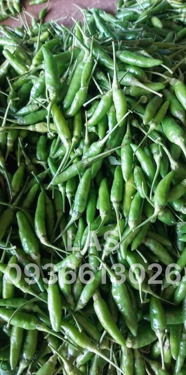 ỚT HIỂM