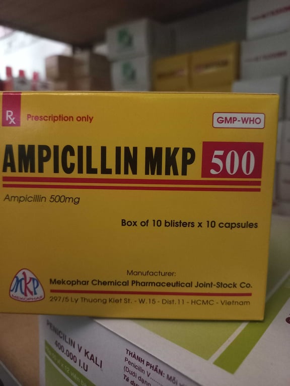 Ampicillin 500mg meko h/100v nang