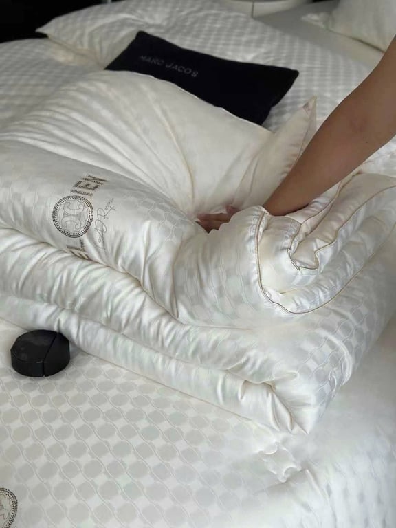 CHĂN TƠ TẰM BÔNG ĐẬU NÀNH NHẬP KHẨU CAO CẤP CELIEN 2MX2M3