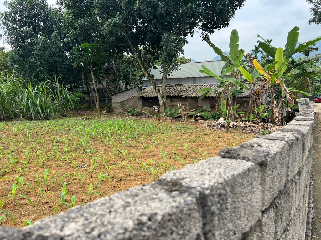 277m full Thổ Cư tại Lương Sơn, Hoà Bình