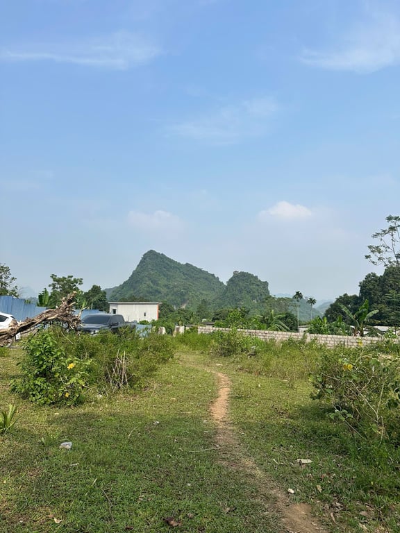 2144m2 có 1900m2 ONT tại Lương Sơn, Hoà Bình