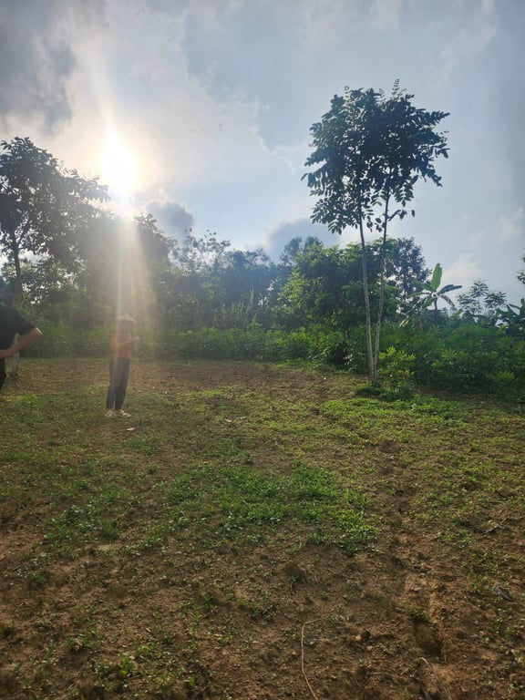 ĐẤT ĐẸP MỸ HÒA, TÂN LẠC 1500m2