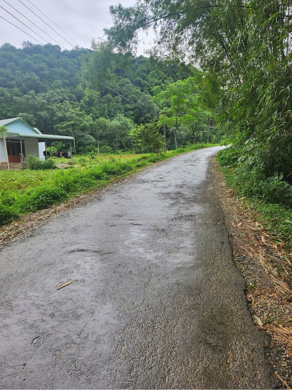 Diện tích 611m2, 80m2 ONT, tặng thêm sổ đất lúa Tại Phú Cường, Tân Lạc, Hòa Bình