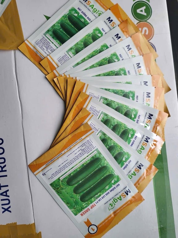 Hạt giống dưa leo siêu sai quả, siêu thơm