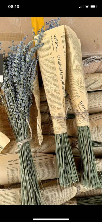 Set 2 bó Hoa Oải Hương Lavender Nhập Khẩu