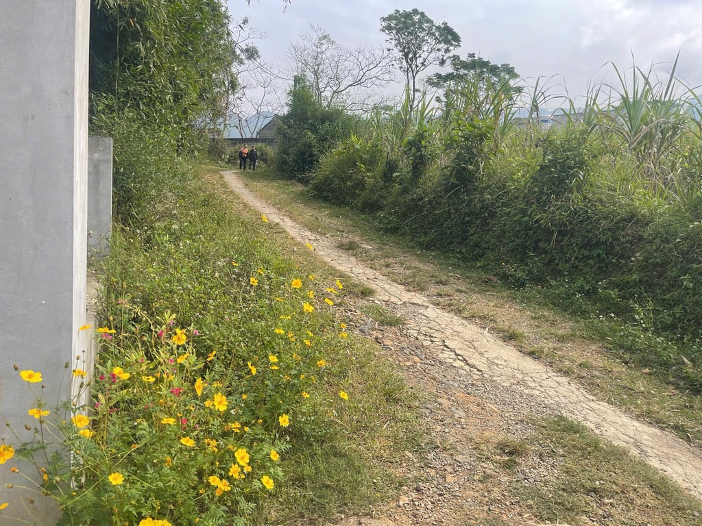 Diện tích: 617,2m2 có 423,5m2 thổ cư sẵn Nhà mới xây tại Hợp Phong, Cao Phong, Hoà Bình