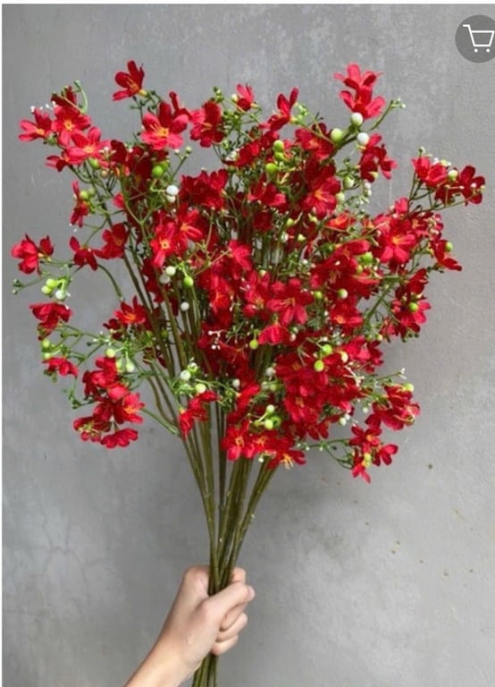 10 Cành Nhất Chi Mai