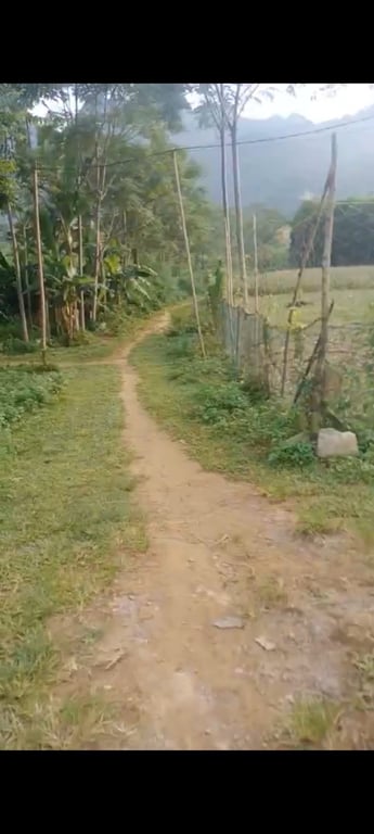 2500m2 tại Lỗ Sơn,Tân Lạc, Hoà Bình