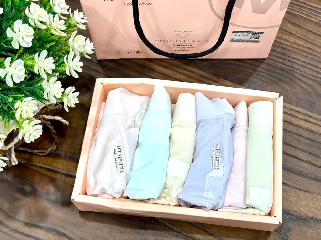 SET 6 QUẦN LÓT NỮ CAO CẤP NC113