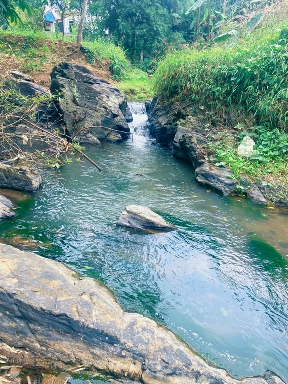 6177m2, 400m2 thổ cư tại Yên Lập, Cao Phong, Hoà Bình