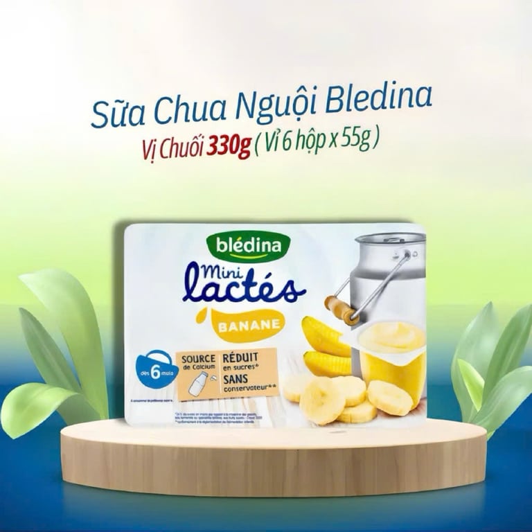 Sữa Chua Nguội Bledina Lactes Pháp cho Bé từ 6 Tháng(6h/1vỉ)