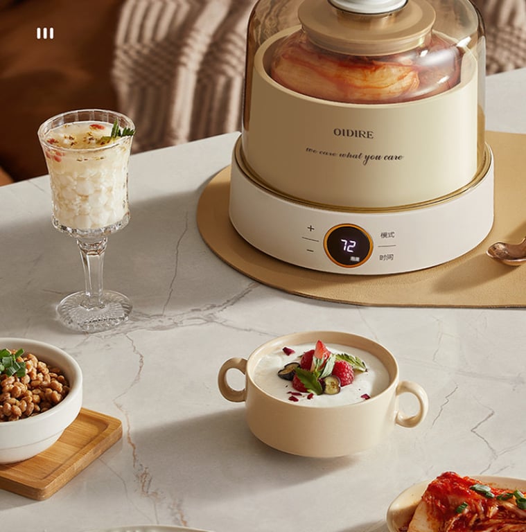 MÁY LÀM SỮA CHUA OIDIRE 1.0L ODI- SA23