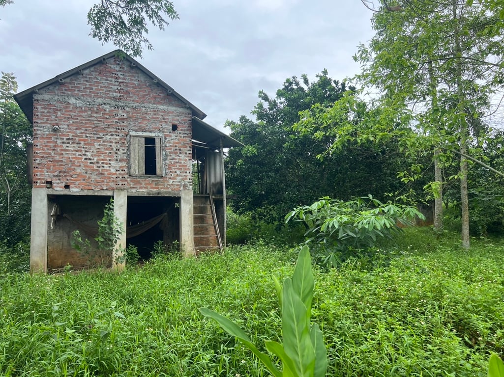 Ngọc Mỹ, Tân Lạc, Hòa Bình (8679m2)