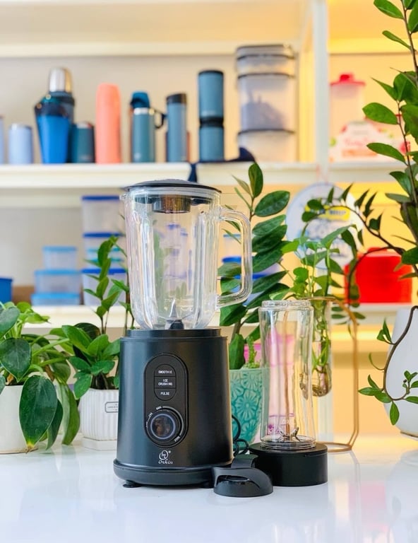 MÁY XAY SINH TỐ ĐA NĂNG THÁI LAN ORKIN OR520