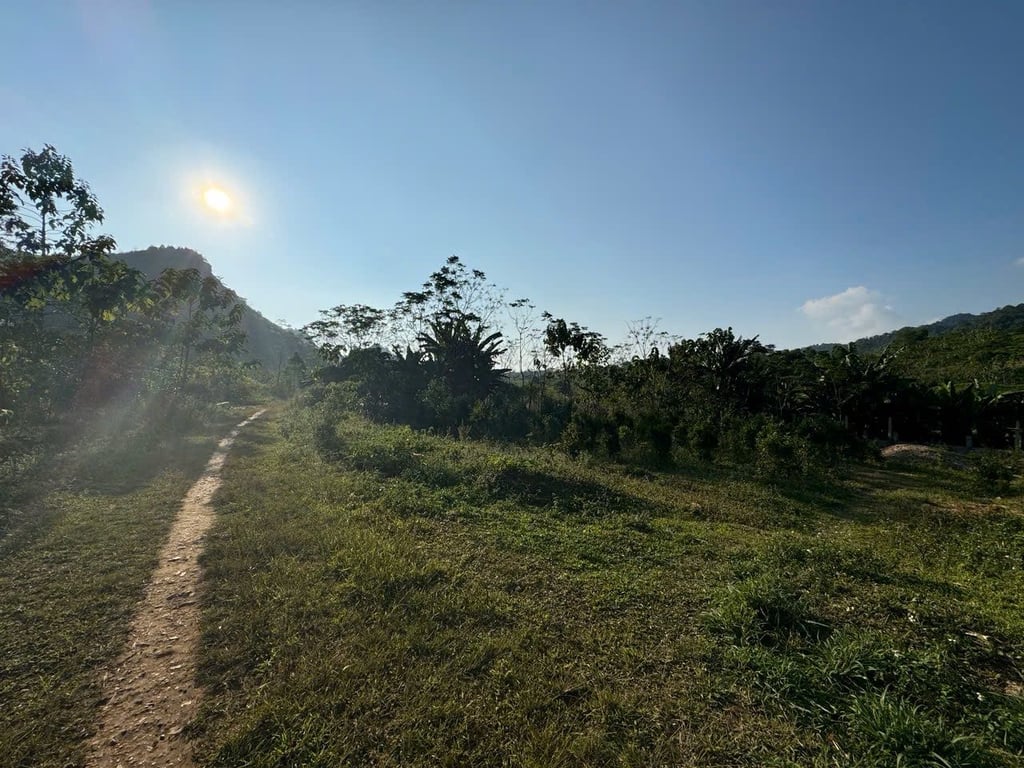 diện tích 3.590m2 đất trồng cây lâu năm, sẵn quy hoạch thổ cư tại Đà Bắc, Hoà Bình chỉ hơn 300tr