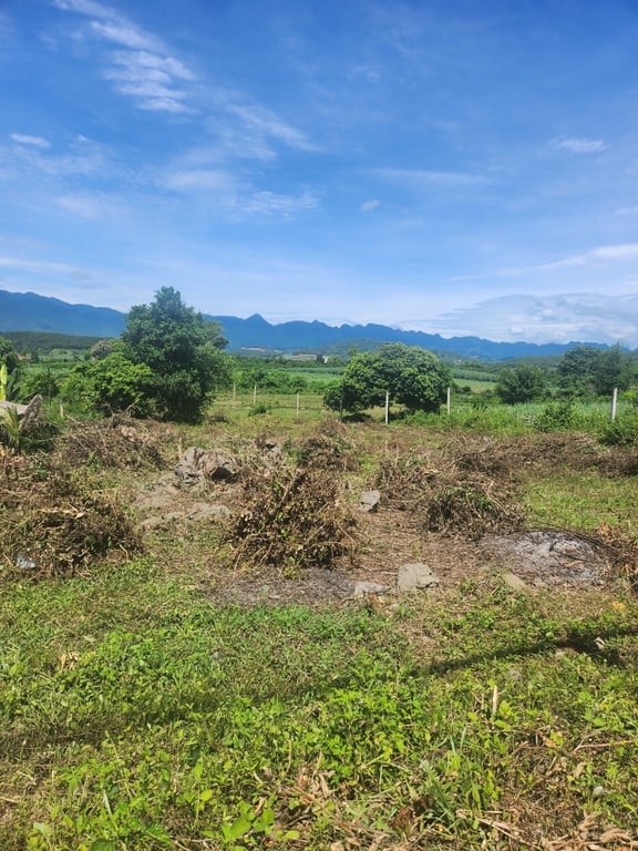 ~ 1100m2  có 60m2 ONT tại Mỹ Hoà, Tân Lạc, Hoà Bình.