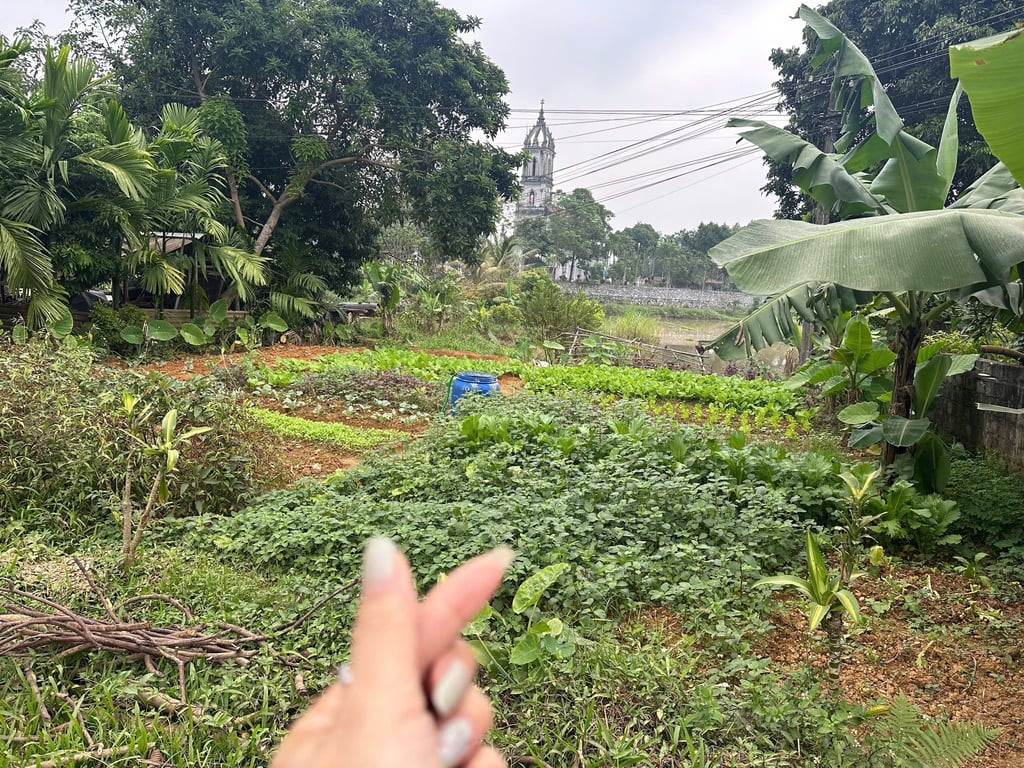 161m2 có 156m2 thổ cư tại Thanh Sơn, Lương Sơn, Hoà Bình, cách Hà Đông hơn 40km