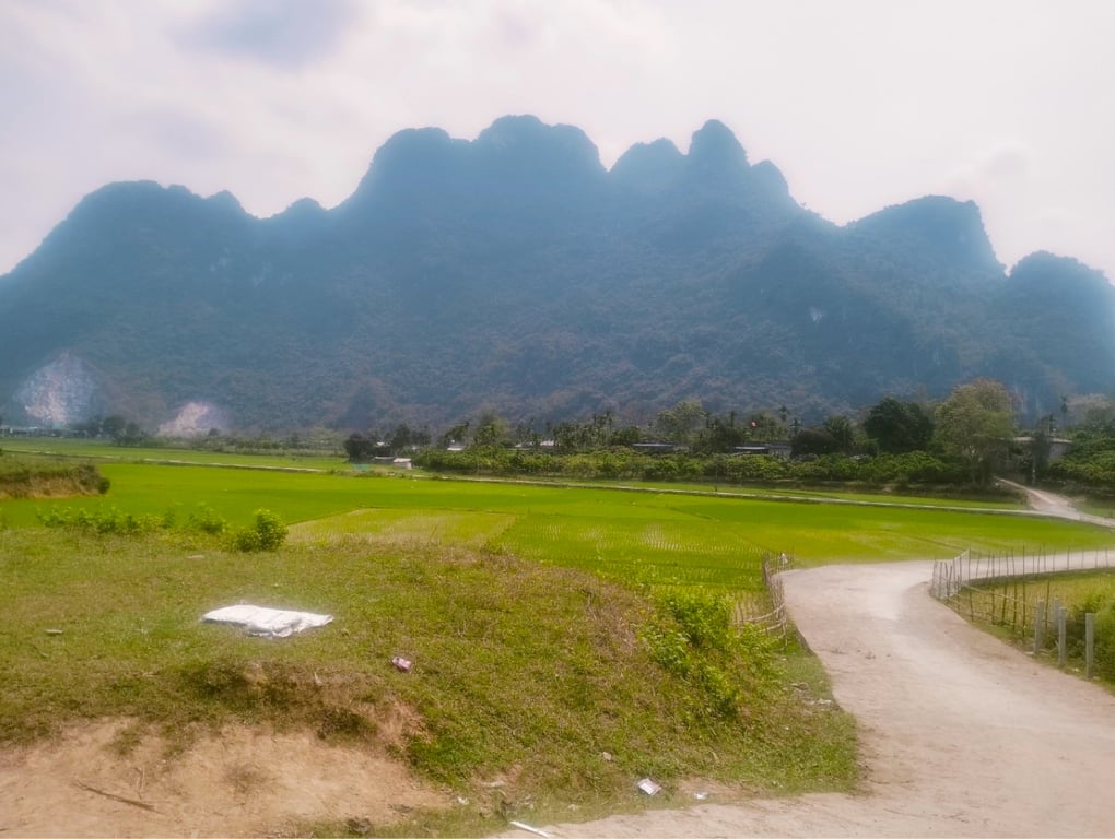 Lô góc hai mặt tiền siêu đẹp hơn 1000m2 có 700m2 thổ cư tại Kim Bôi, Hoà Bình