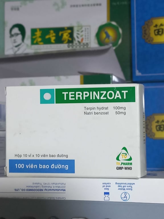 Terpinzoat đường trà vinh h/100v