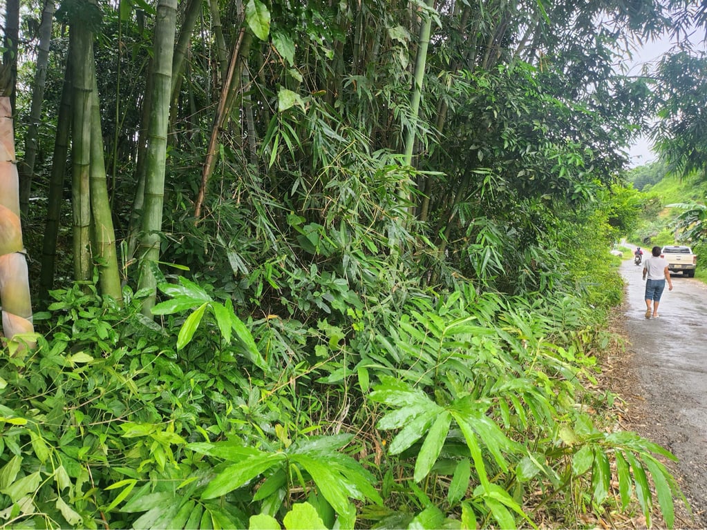 Diện tích 611m2, 80m2 ONT, tặng thêm sổ đất lúa Tại Phú Cường, Tân Lạc, Hòa Bình