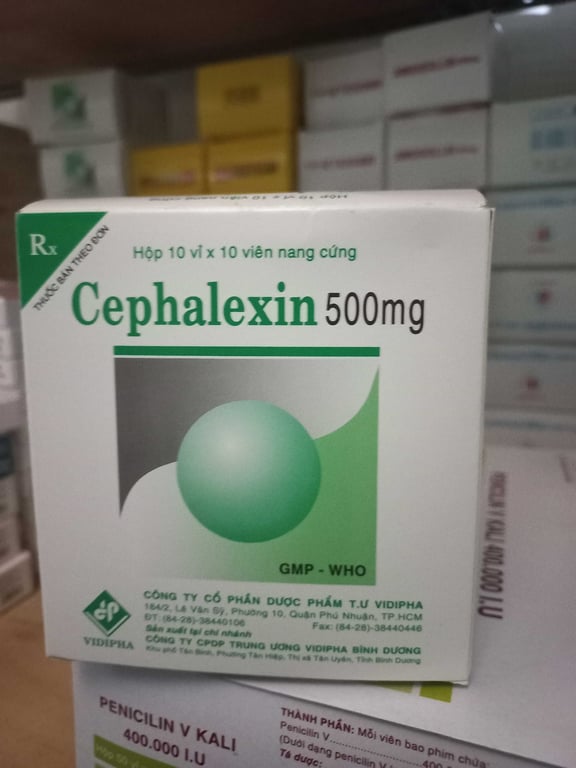 Cephalexin 500mg vidi h/100v